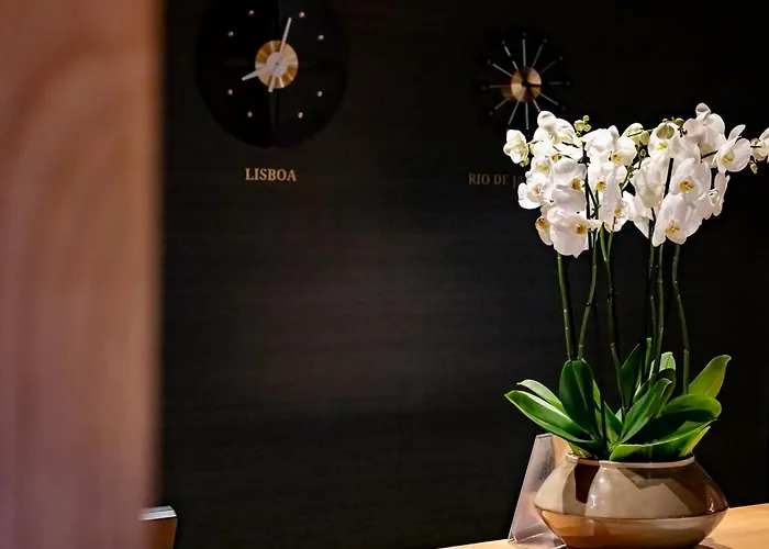 Dom Carlos Park Hotell