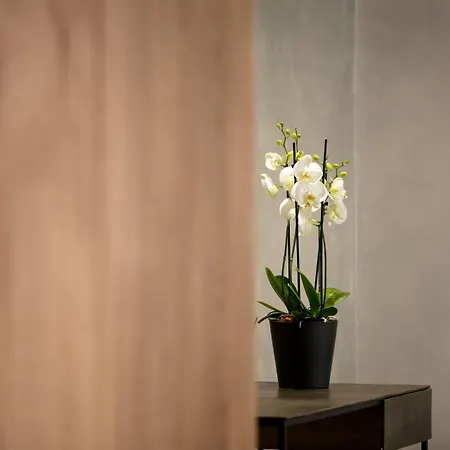 Dom Carlos Park Lisboa