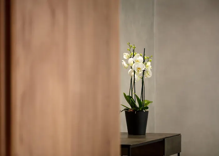 Dom Carlos Park Lisboa